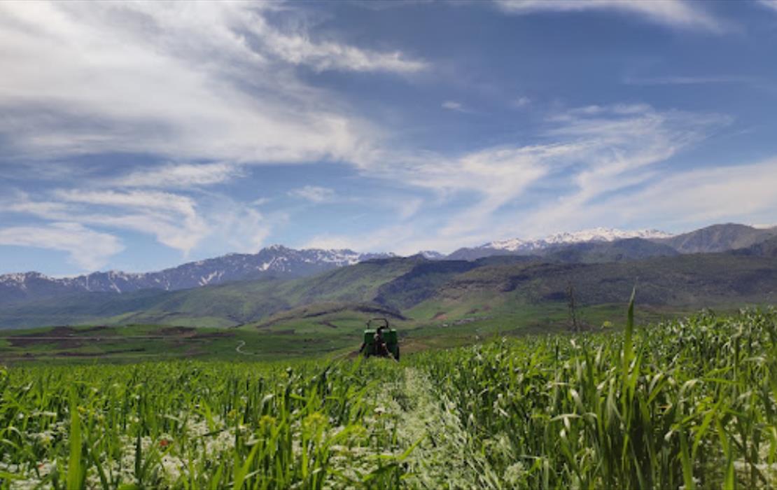 بهترین هتل بیساران در کردستان |  09981115452